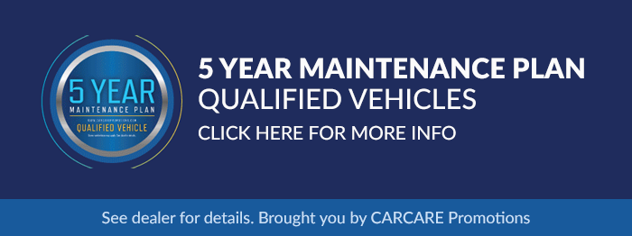 5 Year maintenance Plan